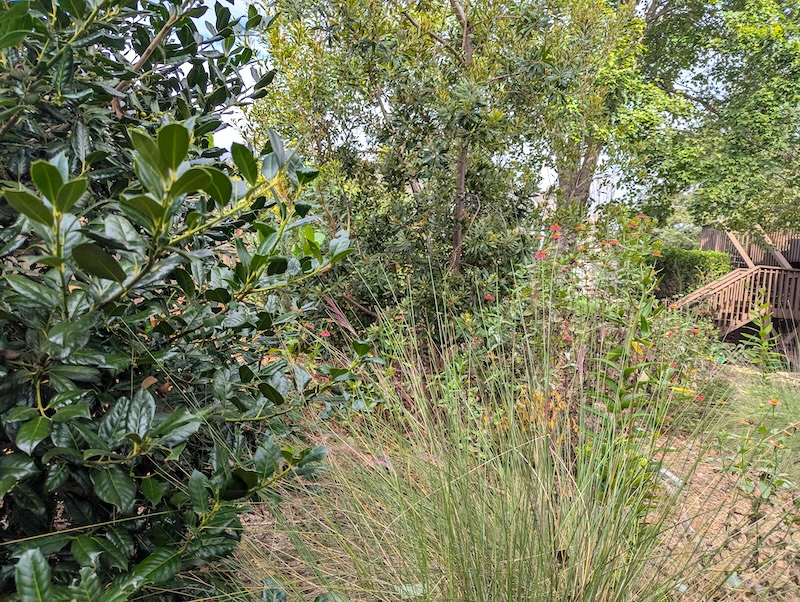 Plant textures Plant textures