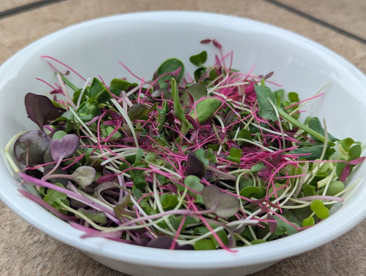 microgreens mix