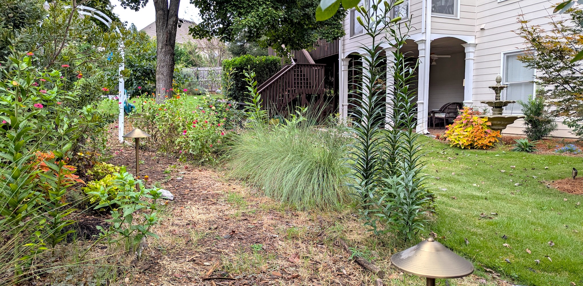 woodland cottage garden